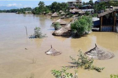 badhi-duban-sauraha_5pdmFihGF2