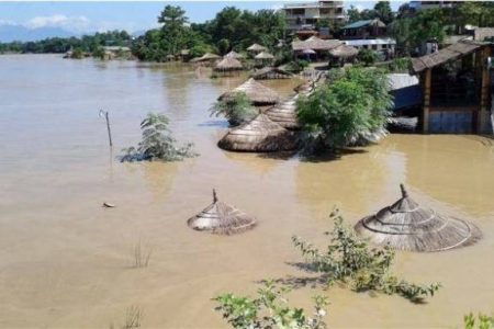 badhi-duban-sauraha_5pdmFihGF2