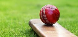 ball-cricket-ball-leather-red-cricket-bat-ground-shut
