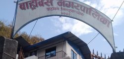 barhsabise-nagarpalika