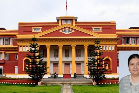 bidhya