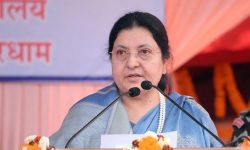 bidhyadevi