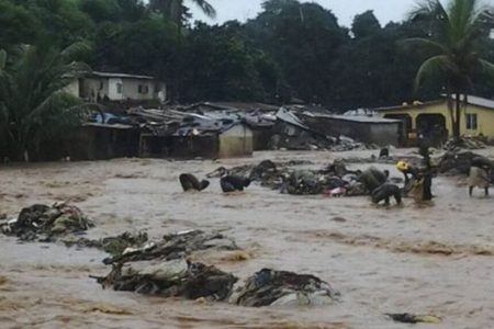bipad