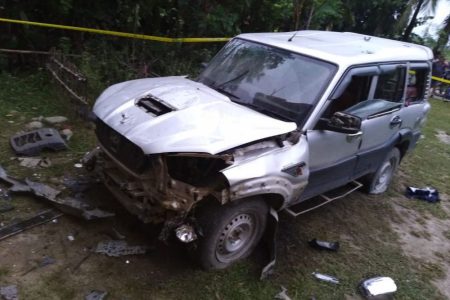 bom-picture-1-0992019034308-1000x0
