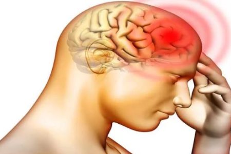 brain