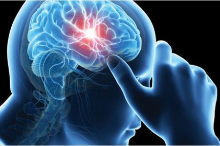 brain