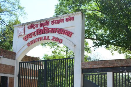 central zoo