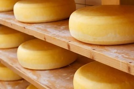 cheese
