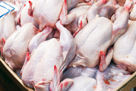chiken-meat