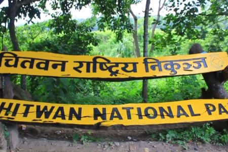 chitwan-1