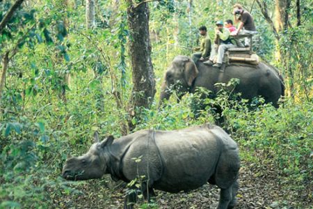 chitwan-national-1
