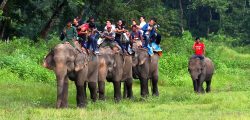 (160911) -- CHITWAN, Sept. 11, 2016 (Xinhua) -- Tourists enjoy elephant ride at Sauraha, a tourism hub in southwest Nepal's Chitwan district, Sept. 10, 2016. Sauraha is close to Chitwan National Park and the best-known Safari Park in Nepal. The tourism sector of Sauraha has rapidly grown up this year as there was more decline of tourists due to earthquake last year. (Xinhua/Sunil Sharma)(yy)