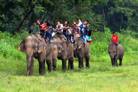 (160911) -- CHITWAN, Sept. 11, 2016 (Xinhua) -- Tourists enjoy elephant ride at Sauraha, a tourism hub in southwest Nepal's Chitwan district, Sept. 10, 2016. Sauraha is close to Chitwan National Park and the best-known Safari Park in Nepal. The tourism sector of Sauraha has rapidly grown up this year as there was more decline of tourists due to earthquake last year. (Xinhua/Sunil Sharma)(yy)