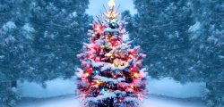 christmas-trees-gettyimages-1072744106