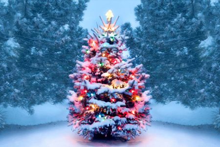 christmas-trees-gettyimages-1072744106