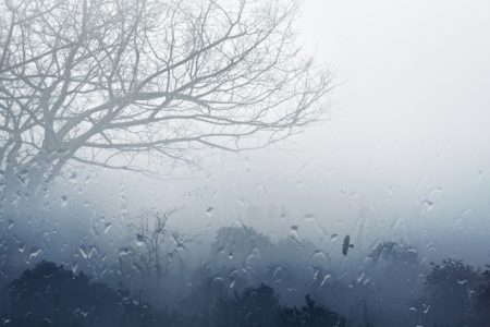 cold and rain
