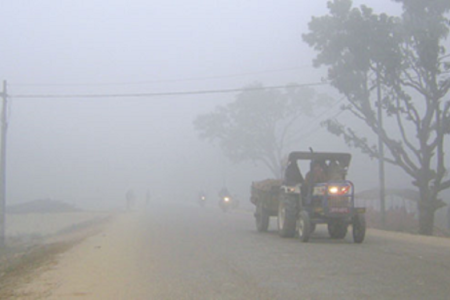 cold-at-terai