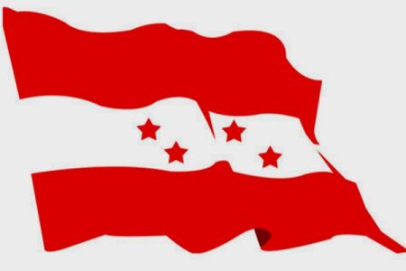 congress-flag