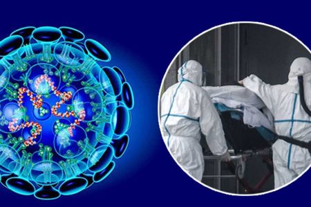 corona-virus1_20200124132828