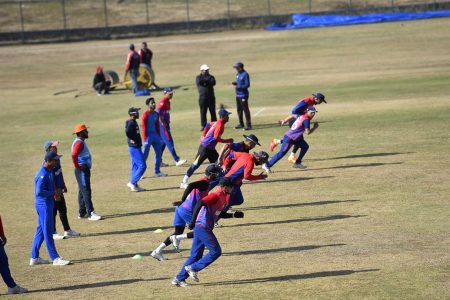 cricket