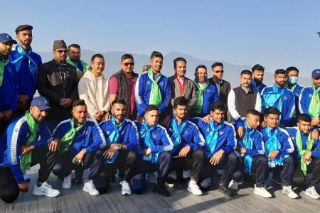 cricket-team