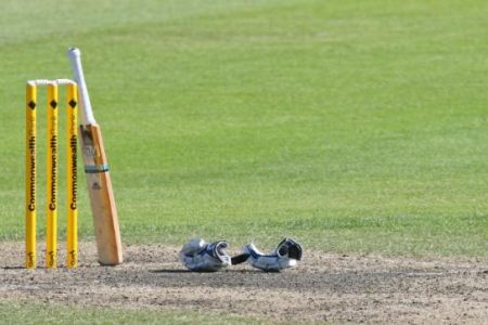cricket_11