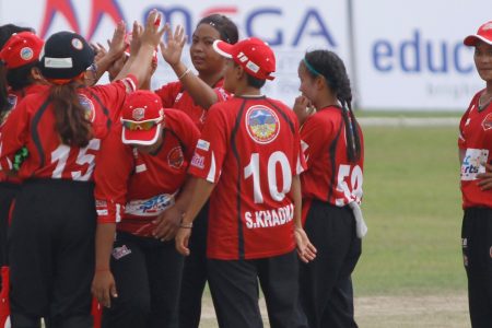 cricket_9Q9QClezWS