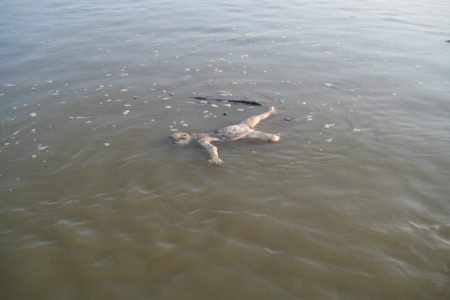 dead-body-floting-nepal