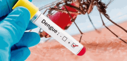 dengueee