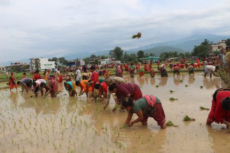dhandiwas-