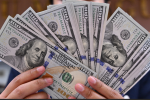 dollar