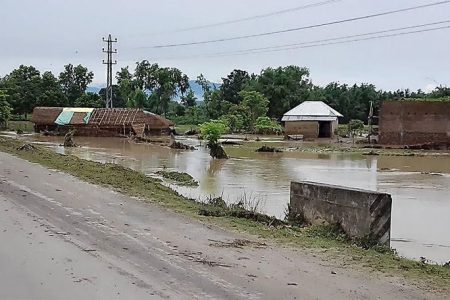 duban-saptari