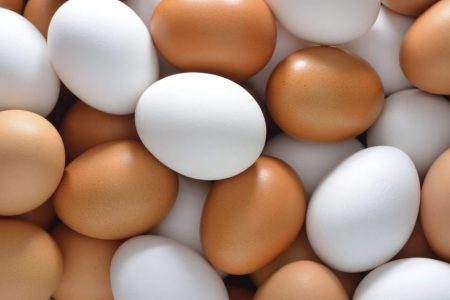 egg-1200x600