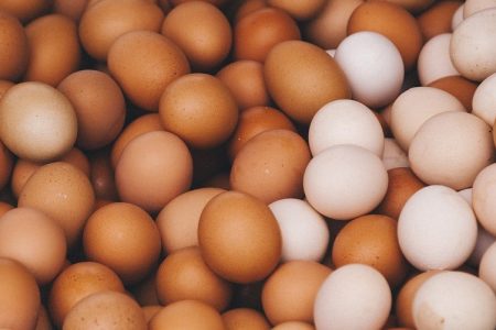 egg