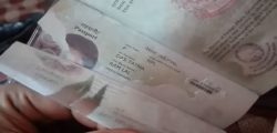 fake_visa_76Fgrd285s