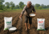 farmer uria DAP