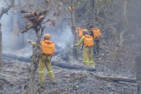 fire-control