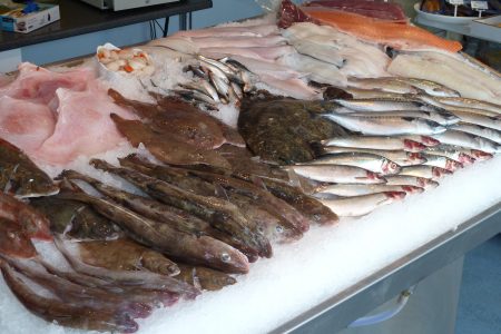 fish_shop_0oJSCGa3vo