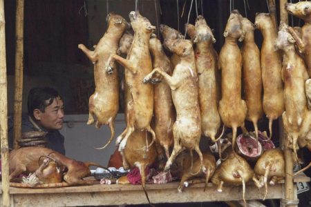 fogs meat
