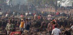 gadhimai2019-12-04-10-48-44