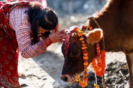 gai-puja-cow-puja-gobardhan-puja-tihar-4th-day-