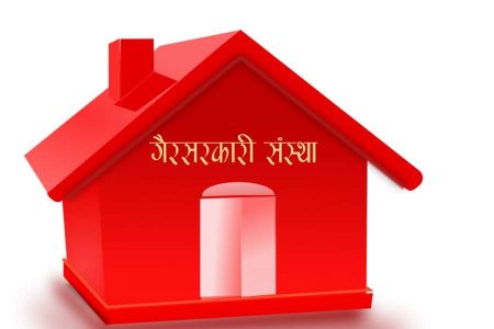 gair sarkari sanstha