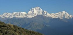 ghorepani-ghandruk-trek39-725x490