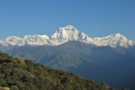 ghorepani-ghandruk-trek39-725x490