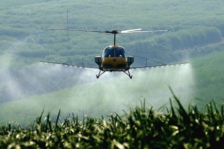 helicopter-gypsy-mothjpg-61194fbf41d10946