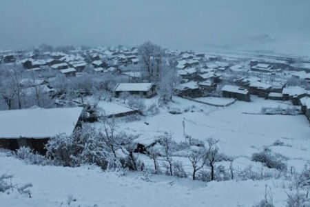 humla himpat1605573841