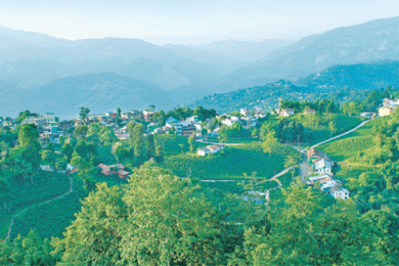 ilam