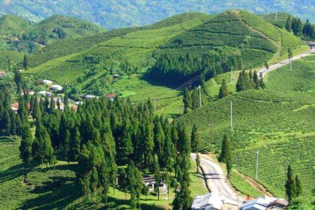 illam