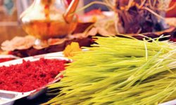 jamara_dashain_