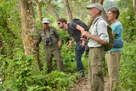 jungle_walk_4tIfPYUieo